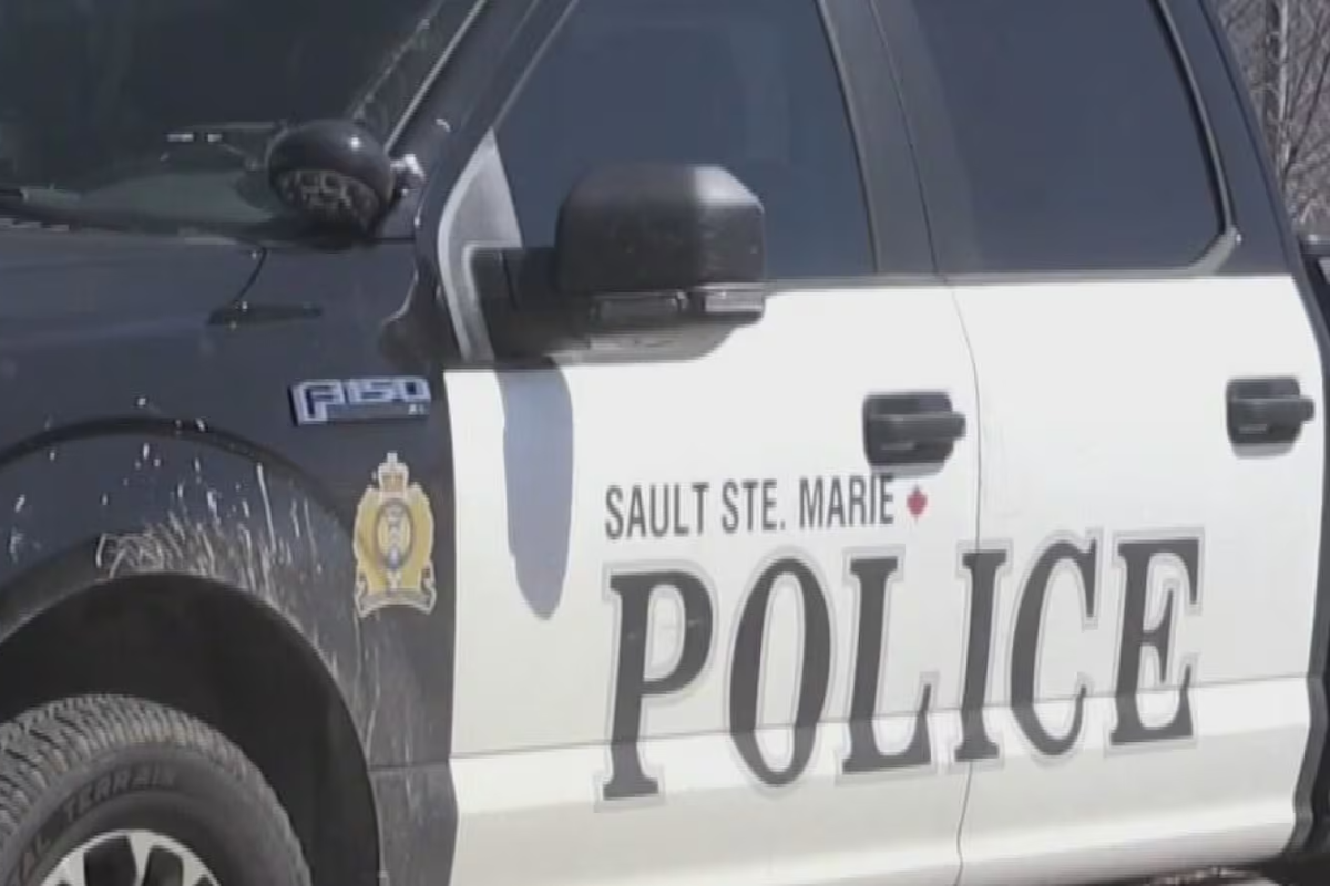 கனடாவில் தனது பெயரில் 18 அடையாள அட்டைகள் வைத்திருந்த பெண் | Sault Police Say Woman Had 18 Different Id Cards