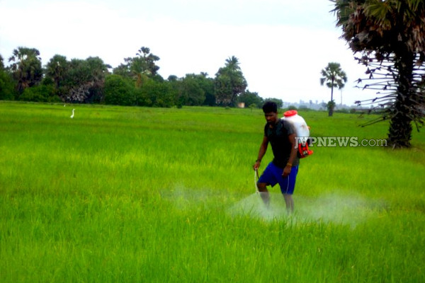யாரும் அறிந்திராத ஈழ நிலத்தின் மற்றுமோர் ஆதாரம்! | Poonagari Is Another Source Of Ezham Land