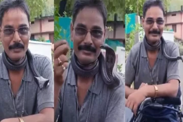 பாம்பு பிடி வீரனின் தவறான செயல் - கடைசியில் உயிரிழந்த பரிதாபம்