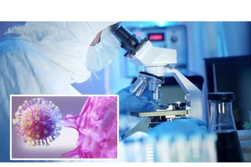 கொரோனா வைரஸ் இங்கிருந்து வந்திருக்க வாய்ப்பு அதிகம்! WHO விசாரிக்க வேண்டும்: பிரித்தானியா உளவுத்துறை வைத்துள்ள கோரிக்கை