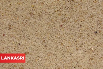 ரத்த கொலஸ்ட்ரால் அளவைக் குறைக்க இதை அடிக்கடி சமைத்து சாப்பிடுங்க!