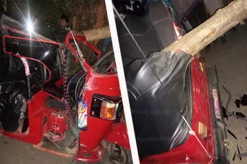 நுவரெலியாவில் முச்சக்கர வண்டி மீது மரம் விழுந்து விபத்து