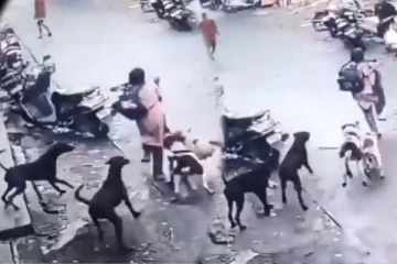 Viral Video: சிறுமியை துரத்திய நாய் கூட்டம்... நொடிப்பொழுதில் உயிர்தப்பிய திக் திக் நிமிடம்