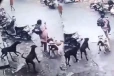 Viral Video: சிறுமியை துரத்திய நாய் கூட்டம்... நொடிப்பொழுதில் உயிர்தப்பிய திக் திக் நிமிடம்