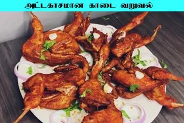 Kaadai Varuval: அசைவ பிரியர்களுக்கான காடை வறுவல்... ஒருமுறை இப்படி செய்து பாருங்க