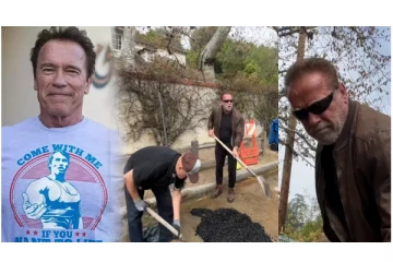 சாலையில் ஏற்பட்ட பள்ளத்தை சரிசெய்ய களத்தில் இறங்கிய அர்னால்ட் - வைரலாகும் வீடியோ