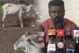 மயிலத்தமடு மாதவனை மேய்ச்சல் தரை பண்ணையாளர்கள் நடுத்தெருவில்! தர்மலிங்கம் சுரேஷ் ஆவேசம்