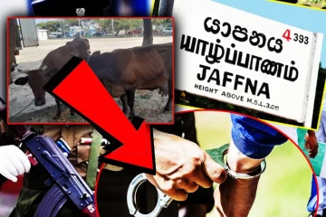 யாழ்.நகரில் வீடொன்றில் சட்டவிரோத கொல்களம் - சிக்கிய இருவர்