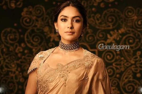 என் காதலன் என்னைவிட்டு விலகி போக காரணமே இதுதான்... மிருணாள் தாகூர் ஓபன் டாக் | Actress Mrunal Thakur About Her Love Failure