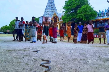 யாழ் நயினை அம்பாள் ஆலயத்தில் வியக்க வைத்த பாம்புகள்; மெய்சிலிர்த்த பக்தர்கள்! (Photos)