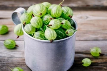 நெல்லிக்காய் நல்லது தான்! ஆனால் இந்த பிரச்சினை உள்ளவர்கள் எடுத்து கொண்டால் ஆபத்தாம்.. எச்சரிக்கையாக இருங்க