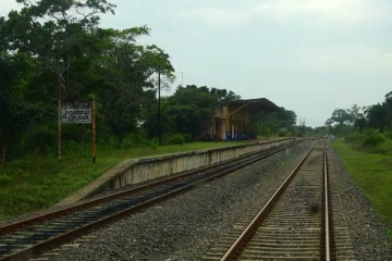 தமிழர் பகுதியொன்றில் ஏற்பட்ட அசம்பாவிதம்: பரிதாபமாக உயிரிழந்த யானை!