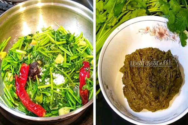 கல்லீரல் பிரச்சினைகளை சரிச் செய்யும் துவையல்.. இந்த இலை போட்டு செய்ங்க- அற்புத பலன்கள் | Kothamalli Thogayal Recipes In Tamil
