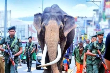 பெரும்பான்மையின மக்களை சோகத்தில் ஆழ்த்திய “நடுங்கமுவ ராசா”!.. (படங்கள்)