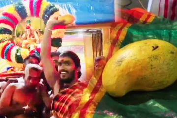 வவுனியாவில் 162,000 ரூபாய்க்கு ஏலத்தில் விற்கப்பட்ட மாம்பழம் (Photos)