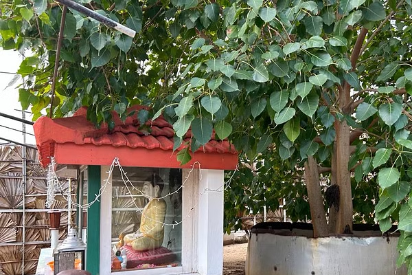 உளவு பார்க்க சதி செய்யும் இலங்கை ? : கச்சதீவில் முளைத்த திடீர் புத்தர் .. உச்சகட்ட கோபத்தில் இந்தியா | Buddha Statue In Katchatheevu Of Sri Lanka உளவு பார்க்க சதி செய்யும் இலங்கை ? : கச்சதீவில் முளைத்த திடீர் புத்தர் .. உச்சகட்ட கோபத்தில் இந்தியா | Buddha Statue In Katchatheevu Of Sri Lanka