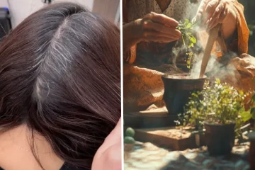 நரைமுடிக்கு தீர்வு தரும் எண்ணெய்: வாரத்திற்கு 2 தடவை போடுங்க