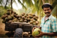 මේ වගාකරුවන්ට සුබ ආරංචියක් - රජයෙන් විශේෂ රක්ෂණයක් ලැබෙන මුදල මෙන්න