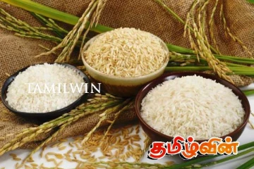 அரிசி விலை தொடர்பில் வெளியான தகவல்