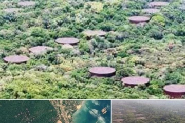 இனி இந்தியாவிற்கு வழங்க மாட்டோம் - சிறிலங்கா பகிரங்க அறிவிப்பு