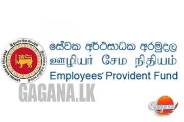 අද ඉඳන් තිබ්බ EPF ගැටලු ඔක්කොම ඉවරයි, මෙන්න විශේෂ නිවේදනයක්