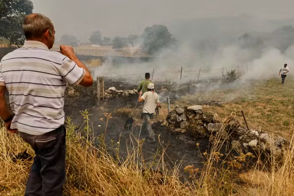 ஸ்பெயினில் பயங்கர காட்டுத்தீ; ஒன்றரை இலட்சம் ஏக்கர் நாசம் | Massive Wildfire In Spain 150 000 Acres Destroyed