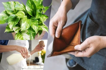 இப்படியான சம்பவங்கள் உங்கள் வீடுகளில் நடந்தால் கடினமான பண நெருக்கடியை சந்திப்பீர்கள்!