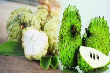 நினைவாற்றலை அதிகரிக்க வேண்டுமா? சீத்தாப்பழத்தை மிஸ் பண்ணிராதீங்க