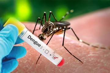 கொழும்பில் உக்கிரமாகும் டெங்கு: கட்டுப்பாட்டு பிரிவு எச்சரிக்கை