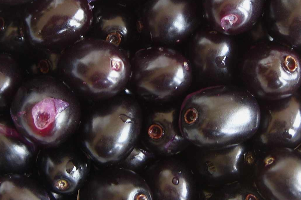 நீரிழிவு நோயாளிகள் நாவல் பழத்தை வெறும் வயிற்றில் சாப்பிட்டால் ஆபத்து? ஏன் தெரியுமா? எச்சரிக்கை | Dont Eat These Foods After Having Jamun