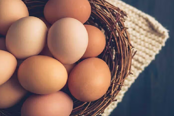 முட்டை விலை வீழ்ச்சி | Egg Prices Fall