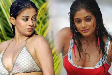 அத வச்சி என்ன பாடி ஷேமிங் பண்றாங்க, நான் நல்லா ஹாட்டா தான் இருக்கேன்..வெளிப்படையாக பேசிய பிரியாமணி