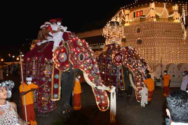 திடீரென பாகனை மிதித்து தள்ளிய யானை ; தலைதெறிக்க ஓடிய மக்கள்! | Elephant Suddenly Trampled Bagan People Ran Away