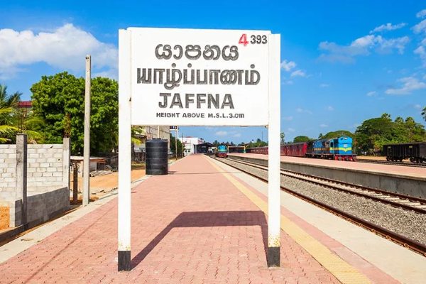 கொட்டாஞ்சேனை துப்பாக்கிச்சூடு: யாழில் கைதானவர்களிடம் மீட்கப்பட்ட வளர்ப்பு நாய் | Kotehenna Gun Shoot Details கொட்டாஞ்சேனை துப்பாக்கிச்சூடு: யாழில் கைதானவர்களிடம் மீட்கப்பட்ட வளர்ப்பு நாய் | Kotehenna Gun Shoot Details