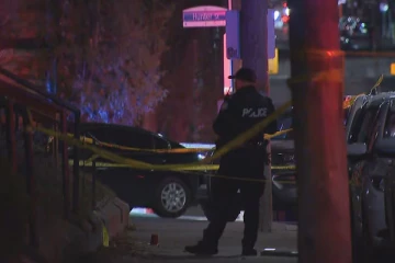 ரொறன்ரோவில் இதுவரையில் 81 பேர் படுகொலை