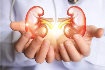 சிறுநீரக பிரச்சனை இருப்பவர்கள் இந்த உணவுகளை நினைத்து கூட பார்க்க கூடாது! ஏன் தெரியுமா?