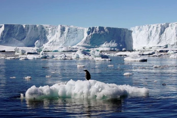 பனி வேகமாக உருகுவதால் புதிய சிக்கல்; விஞ்ஞானிகள் விடுத்த எச்சரிக்கை!