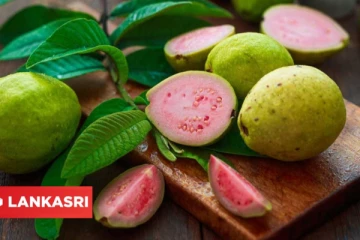 அடிக்கடி கொய்யாப்பழம் சாப்பிடுவதால் கிடைக்கும் நன்மைகள் என்ன?