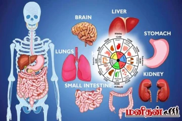உடல் உறுப்பு கடிகாரக் கோட்பாடு என்றால் என்ன? விளக்கமளிக்கும் மருத்துவ நிபுணர்!