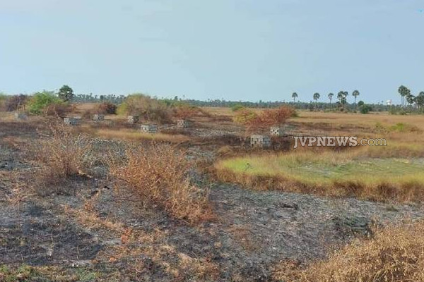 யாழில் விசமிகளின் மோசமான செயல்: தீயில் கருகிய மரக் கன்றுகள்! | Saplings Destroyed By Fire In An Area Of Jaffna