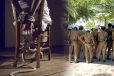 15 வயது மாணவி கடத்தல் - இளைஞனை தேடும் பொலிஸார் - தாய் கைது
