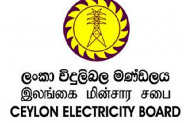 மறுசீரமைக்கப்படும் இலங்கை மின்சார சபை | Restructured Sri Lanka Electricity Board