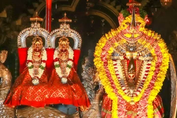 14ஆம் நாள் உற்சவத்தில் சிறப்பாக வீற்றிருந்த நல்லூர் கந்தன்