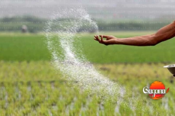 ගොවීන්ට සුභයි - පොහොර ආධාරය ගැන ඇහෙන සුභ ආරංචිය මෙන්න