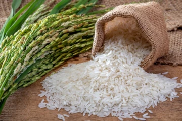 அரிசி தட்டுப்பாடு ஏற்படும் அபாயம்! அமைச்சர் எச்சரிக்கை