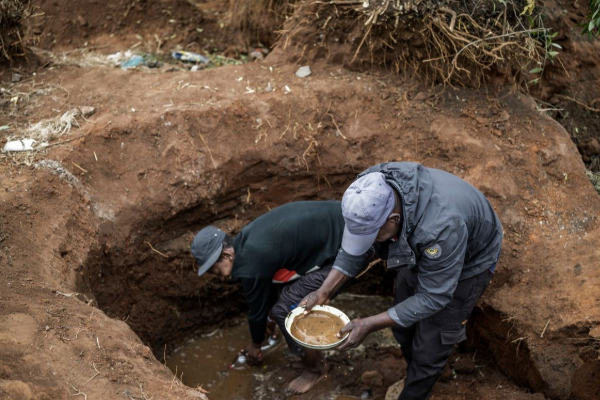 தென் ஆபிரிக்காவில் திடீர் தங்க வேட்டை : கால்நடைப் பண்ணையில் குவிந்த மக்கள் | Sudden Gold Rush In South Africa