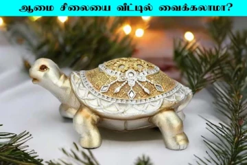 வீட்டில் ஆமை சிலையை வைத்தால் அதிர்ஷ்டமா?