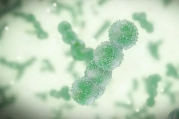 கனடாவில் ஆபத்தான பாக்டீரியா தாக்கம் குறித்து எச்சரிக்கை