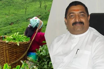 ஜெனீவாவில் பெருந்தொட்ட தொழிலாளர்களது உரிமைகள் தொடர்பில் கருத்துரைத்த வடிவேல் சுரேஷ்