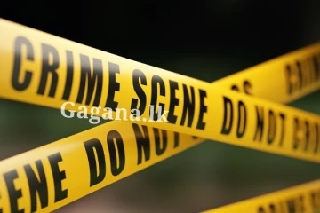 දුරදිග ගිය බහින්බස් වීම ජිවිතයක් අහිමි කරයි.